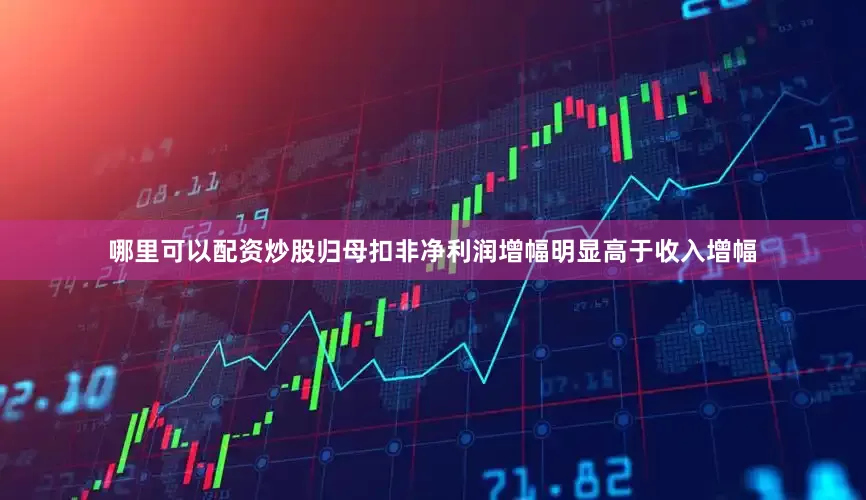 哪里可以配资炒股归母扣非净利润增幅明显高于收入增幅